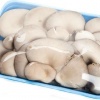 грибы свежие вешенка в розничной упаковке 0,3 кг