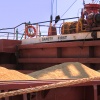 Экспорт зерна из России