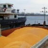 Кукуруза,ячмень экспорт в Иран