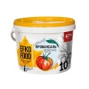 Майонез Провансаль EFKO FOOD Professional 67%, 10 л.