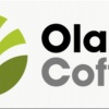 Кофе нефасованный сублимированный растворимый OLAM