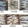 Рыба вяленая, рыба сушеная, сушёные морепродукты,  сушеное, вяленое мясо, орехи, весовые снеки, заку